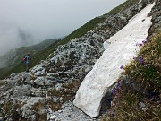 40 Fiori su sfondo neve...marciotta